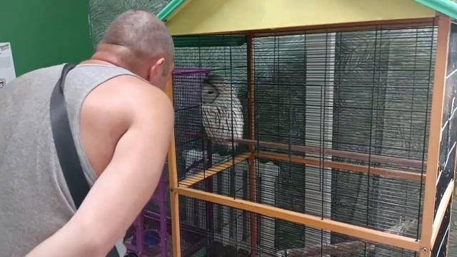 Контактный зоопарк(продолжение) смотреть онлайн