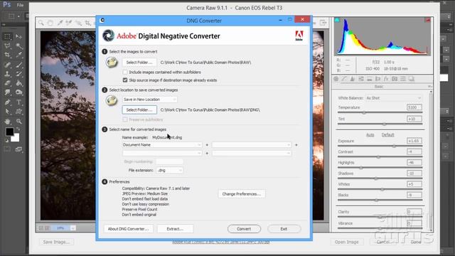 Review of the Adobe Digital Negative Converter for Photoshop, Lightroom, Photoshop Elements смотреть онлайн