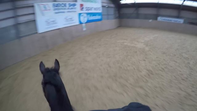 GoPro Horse Jumping Up To 150 Cm - Ride With Me