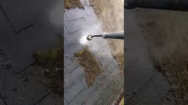 КРЫША ЗАРОСЛА МХОМ смотреть онлайн