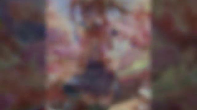 Картинки Анимэ