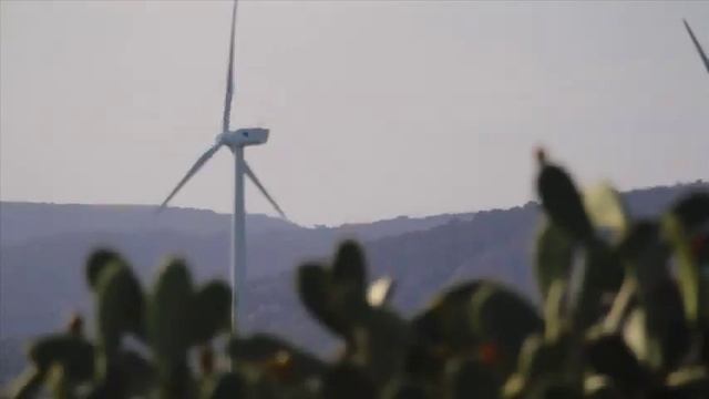 Canon - EOS 600D - Kit Reflex - 18 Mpix + Objectif EF-S 18-55 mm f/3,5-5,6 IS II - Noir смотреть онлайн