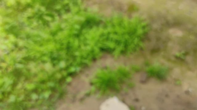 Варган (хомус) _ 278-С2 _ ЕК - Мастер смотреть онлайн