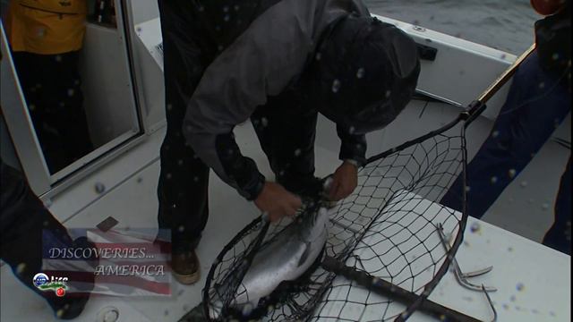 Все об Америке: Аляска / Discoveries... America: Alaska смотреть онлайн