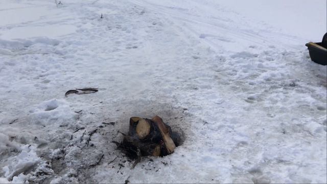 В поисках зимнего хариуса / В гостях у Романа / Рыбалка на таёжной реке смотреть онлайн