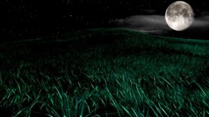 Видео обои - Ночное поле