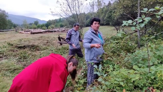 Украинское село ?Таня первый раз в лесу .Собираем чернику. смотреть онлайн