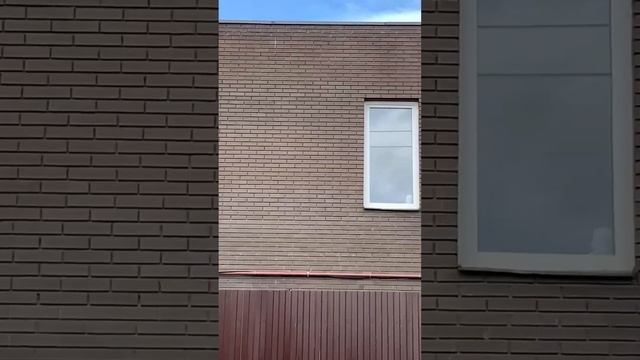 Что лучше: подешевле? Или качественно? смотреть онлайн
