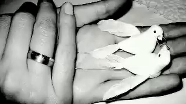 Wzór cały twój - Andrzej Piaseczny смотреть онлайн