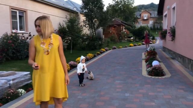 Відкатні ворота з декором у Миколаєві Львівска область смотреть онлайн