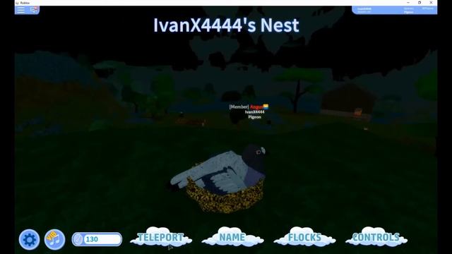 Симулятор птица в Роблокс играем в Feather Family Roblox смотреть онлайн