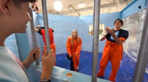 5 причин почему А4 полное говно