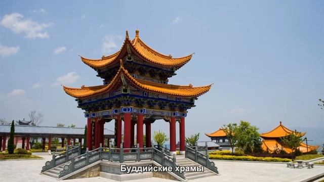 #803. Буддийские храмы (Мировая культура) смотреть онлайн