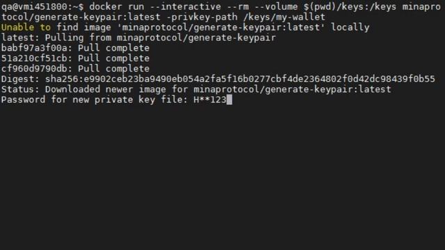 Best way for generating MINA Testnets 4.1 key pair смотреть онлайн