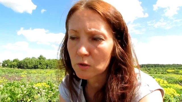 Чернозем. Путешествие к центру земли. смотреть онлайн