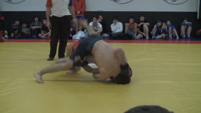 11.12.16 КУБОК МОСКВЫ по ПРОФ БОЕВОМУ САМБО смотреть онлайн