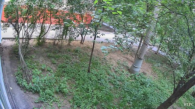 2023-06-16 чувак что-то выкопал из куста, походу было что-то интересное, закладку ? смотреть онлайн