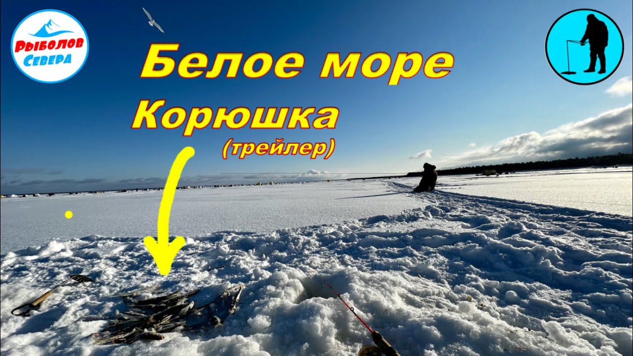 ✅ РЫБАЛКА НА КОРЮХАСУХОЕ МОРЕ 23 февраля (трейлер) #Рыболов_Севера смотреть онлайн