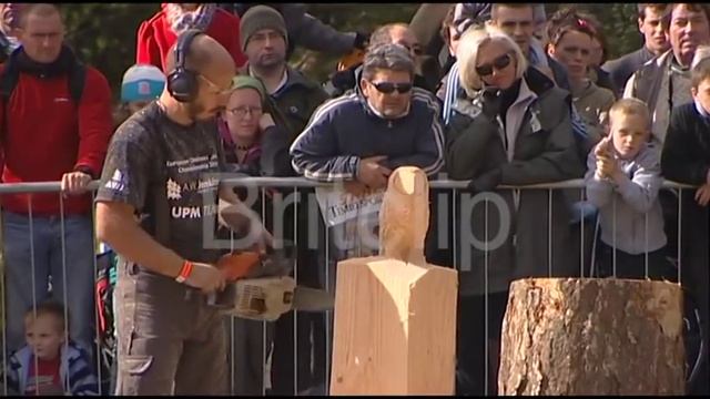 European Chainsaw Speed Carving Championships смотреть онлайн