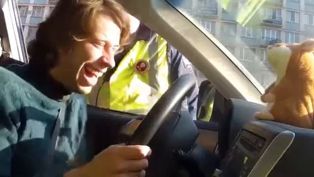 Говорящий хомяк смотреть онлайн