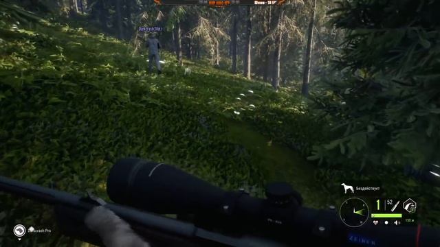 Собаки ищейки в игре theHunter: Call of the Wild смотреть онлайн