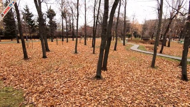 Москва. Парк "Усадьба Трубецких в Хамовниках". Осенняя прогулка. смотреть онлайн