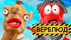 Встретили странного верблюда в Египте с медведем Валерой