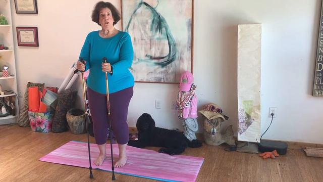 Deeper Dive for May—Hiking Poles as yoga props смотреть онлайн