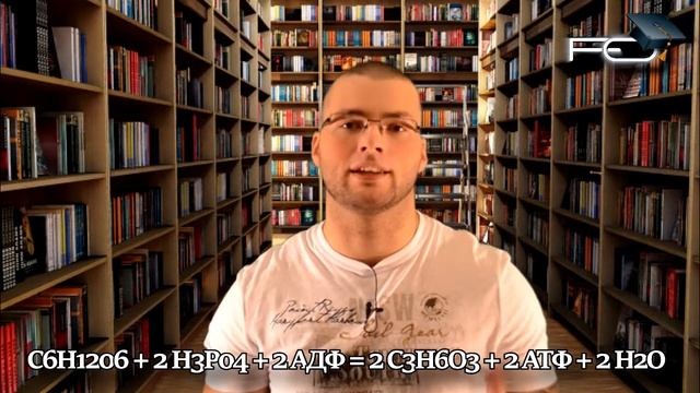 FITOUT выпуск 27 аэробный и анаэробный гликолиз смотреть онлайн