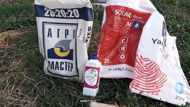 Питание малины и ежевики через капельное орошение смотреть онлайн