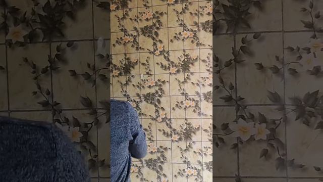 как быстро снять обои😲🤜#ремонтквартир #ремонт #neformat