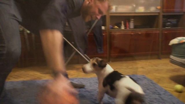 Что подарить девушке на 8 марта? часть 2 смотреть онлайн