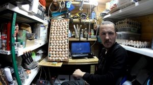 Закладка яйца в инкубатор Блиц Матрица Вегас