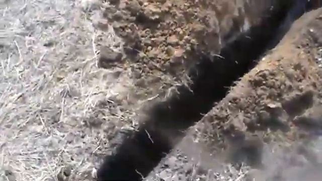 113.3 траншеекопатель, экскаватор цепной смотреть онлайн