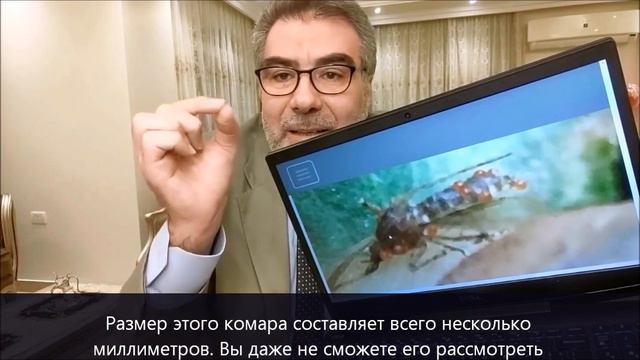 комар или того, что ничтожнее его    226   Доктор Аль Кахиль