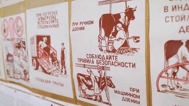 Енисейское: +2500 кг молока, итоги по животноводству за 2022 год смотреть онлайн