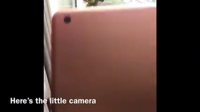 iPAD 10.2 REVIEW - by Beth смотреть онлайн