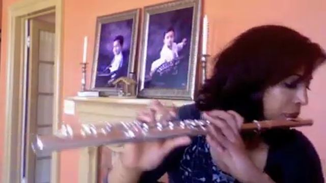 "Romantic Flight" flute cover from "How to Train your Dragon" смотреть онлайн