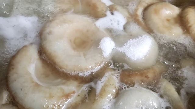 Вкусные рецепты с грибами