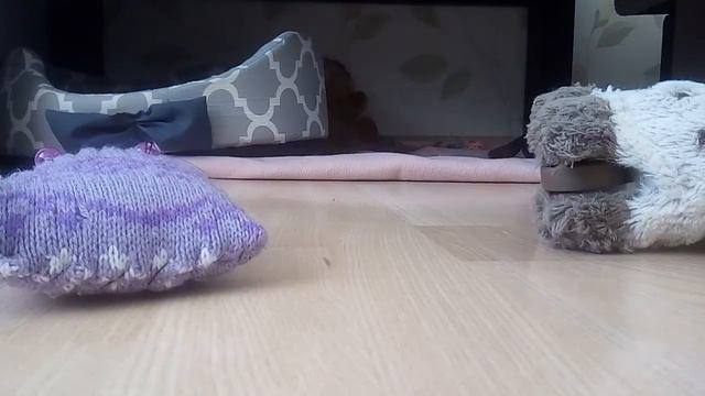 Как сделать уголок для собак? смотреть онлайн