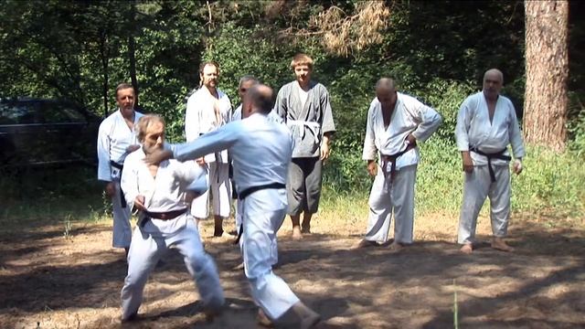 Удары. 34-й экзамен по каратэ. Группа ветеранов, ч. 6. Харьков-2014 Karate смотреть онлайн
