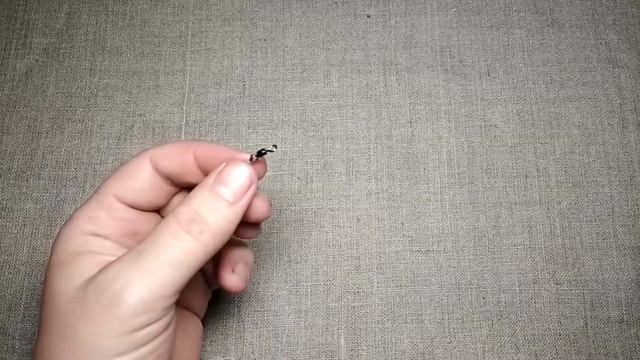 Донная снасть на судака. Монтаж оснастки на судака своими руками смотреть онлайн