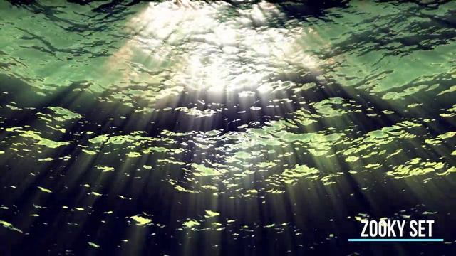 ANJUNADEEP - Douran | Cornelius | Nills Hoffman | Tagavaka | CRi | Joseph Ray - Zooky Set