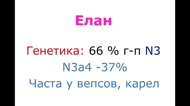 Башкиры. Генетика западных родов (Исследования 2017-2018) смотреть онлайн