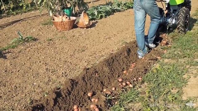 Μοτοκαλλιεργητής Grillo G107 D με μίζα смотреть онлайн