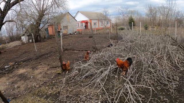 Новое чудо в хозяйстве! Жизнь в деревне!Купили дом в селе! смотреть онлайн