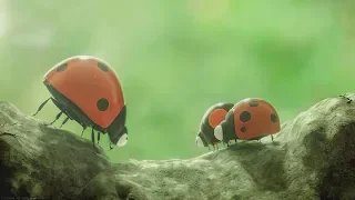 Букашки 2 - Трейлер HD 2019