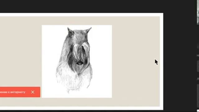 Евгений Ерусалимский Шнауцер особенности сложения смотреть онлайн