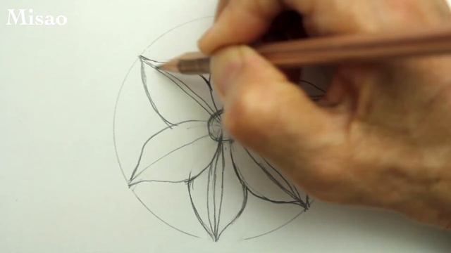 How to draw a flower | Clematis with pencil ( in 2 Minutes ) смотреть онлайн