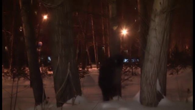 Топор, зарытый в лесу - 4ПБ смотреть онлайн